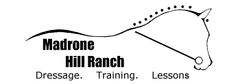 Youth Horse Camp and Horse training